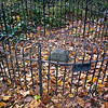 DC boundary stone NORTH - click for larger image