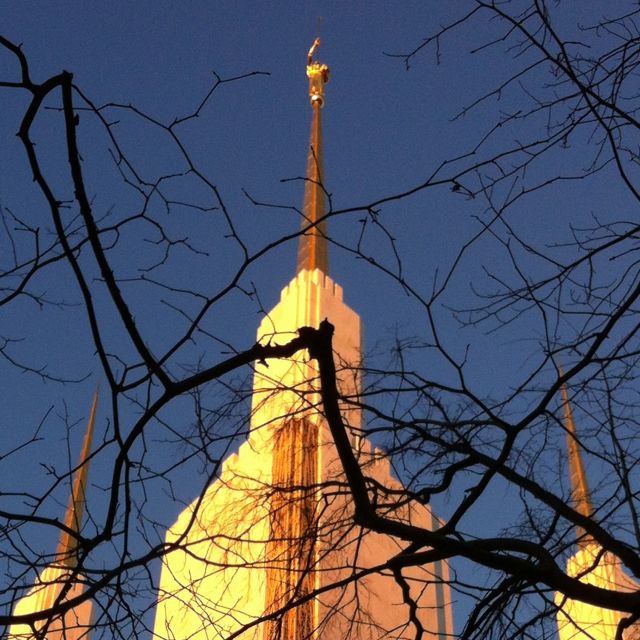 http://zhurnaly.com/images/Kensington_Mormon_Temple_sunrise_3.jpg