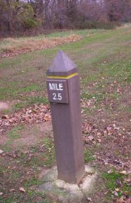 Mile 2.5 of Northeast Branch Trail