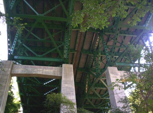 http://zhurnaly.com/images/NWBT/Northwest_Branch_Bridge_underside.jpg