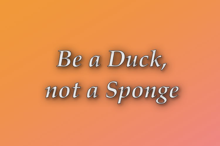 http://zhurnaly.com/images/Think_Better/Be_a_Duck_not_a_Sponge.jpg