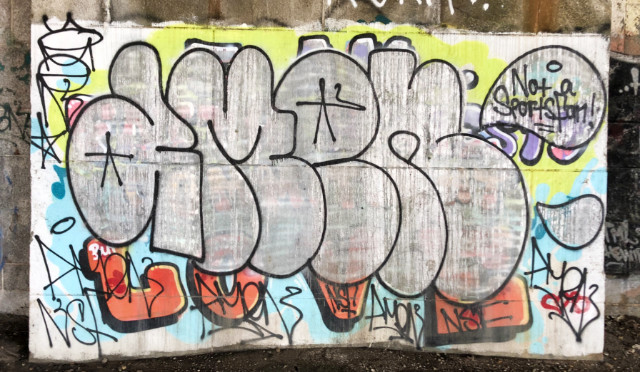 Graffiti under Roosevelt Bridg
