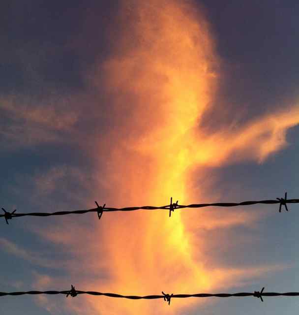 http://zhurnaly.com/images/running/Kensington_barbed_wire_sunrise.jpg