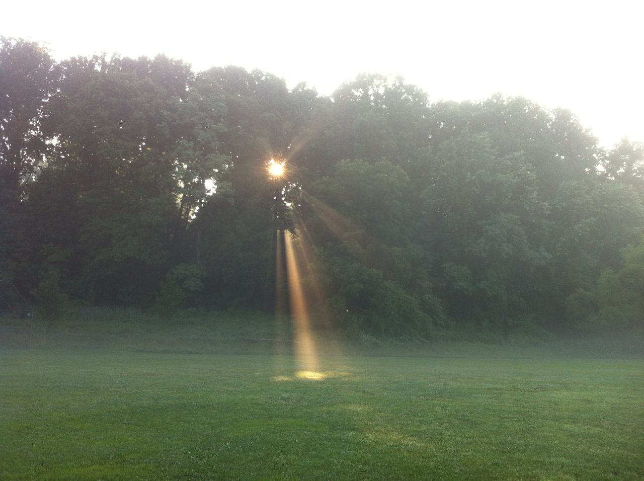 http://zhurnaly.com/images/running/Misty_Morning_Sunbeam_at_KenGar.jpg