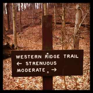 http://zhurnaly.com/images/running/Western_Ridge_Trail_choice.jpg