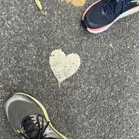 http://zhurnaly.com/images/walk/BFFs_heart-shaped_leaf.jpg