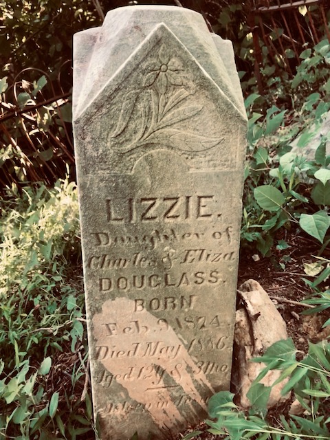 http://zhurnaly.com/images/walk/Haiti-Cemetery_Lizzie2020-08-26.jpg