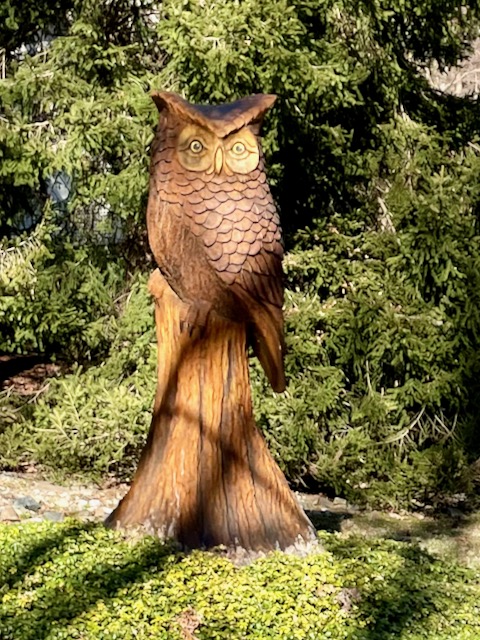 http://zhurnaly.com/images/walk/stump-owl-carving_2022-03-04.jpg