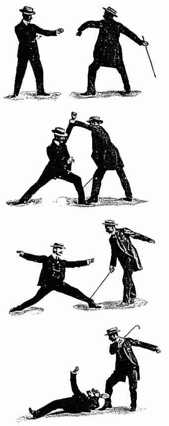 cane fighting