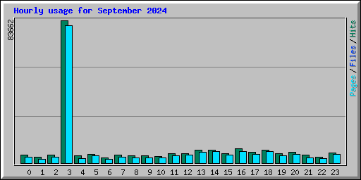 Hourly usage for September 2024