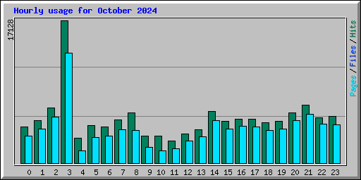 Hourly usage for October 2024