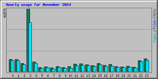 Hourly usage for November 2024