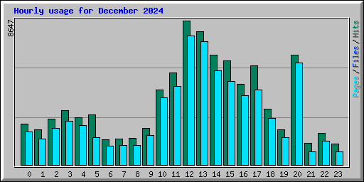 Hourly usage for December 2024