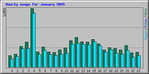 Hourly usage for January 2025